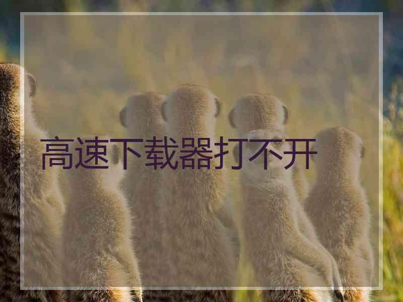高速下载器打不开
