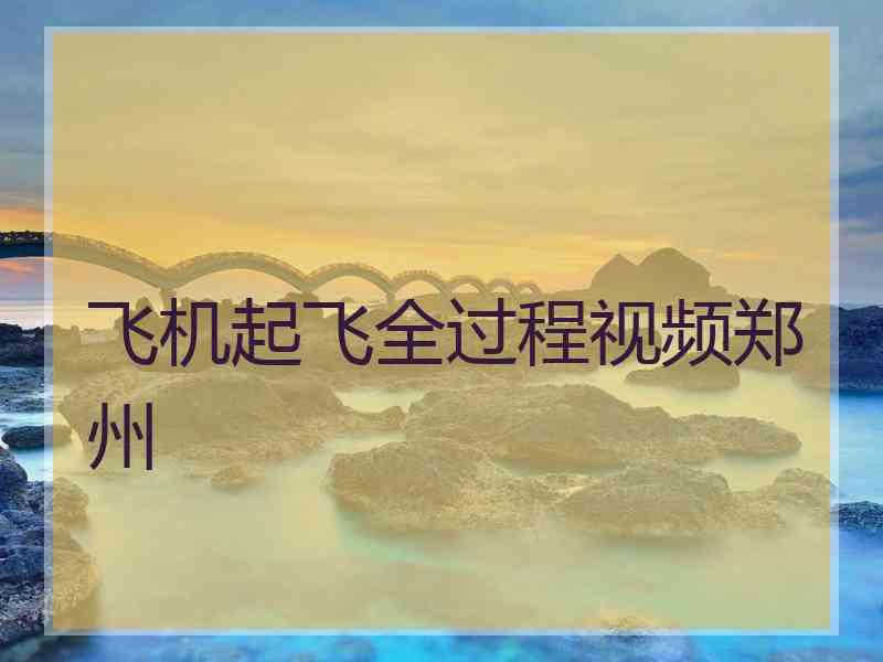 飞机起飞全过程视频郑州