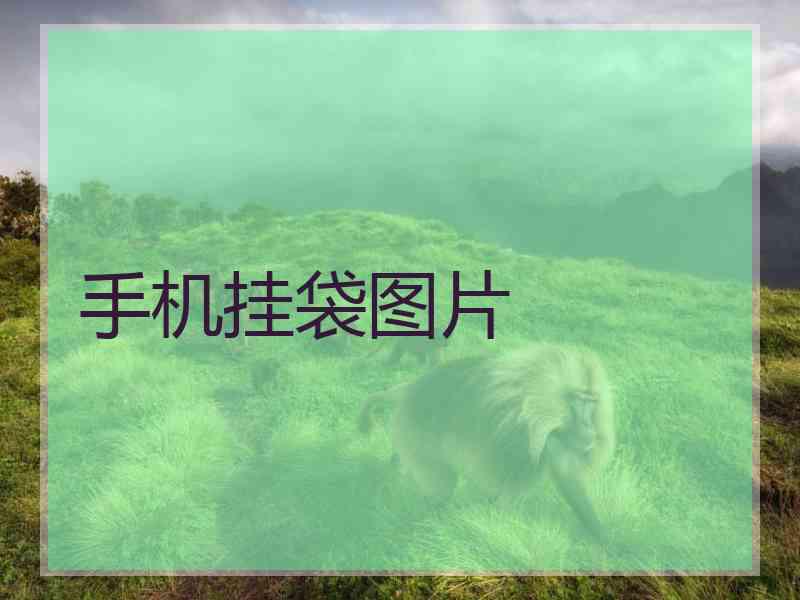 手机挂袋图片