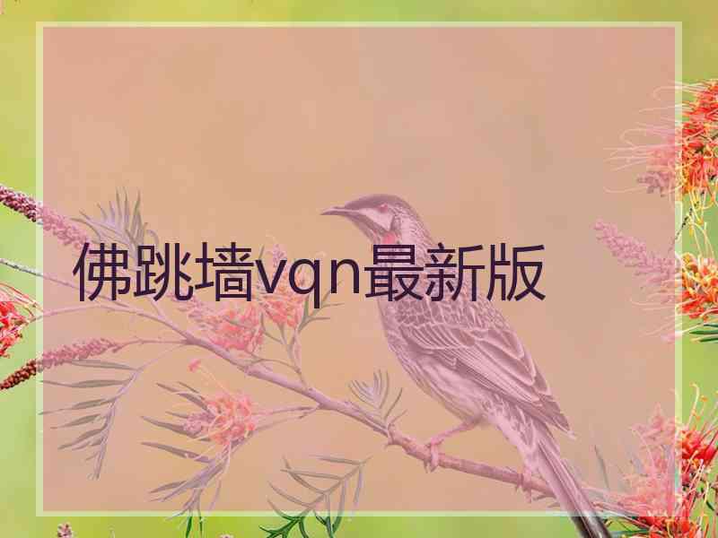 佛跳墙vqn最新版