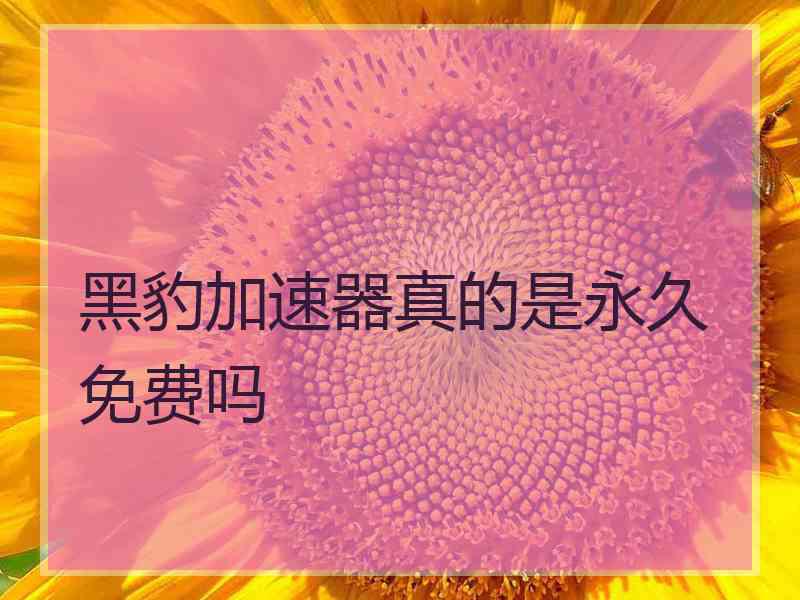 黑豹加速器真的是永久免费吗