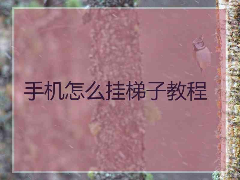 手机怎么挂梯子教程