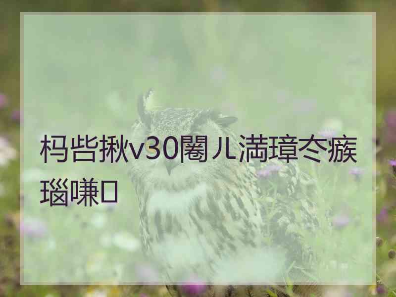 杩呰揪v30闂ㄦ満璋冭瘯瑙嗛