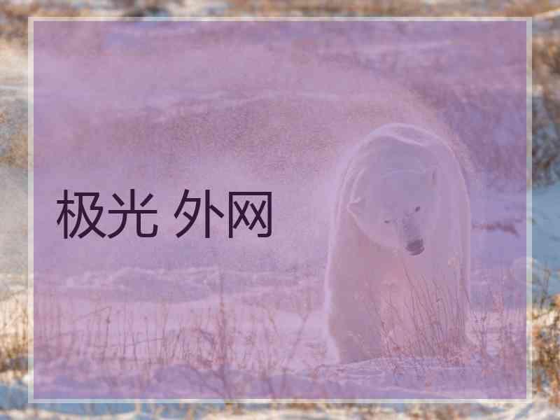 极光 外网