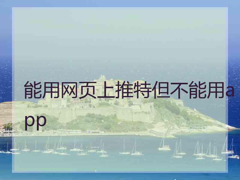 能用网页上推特但不能用app