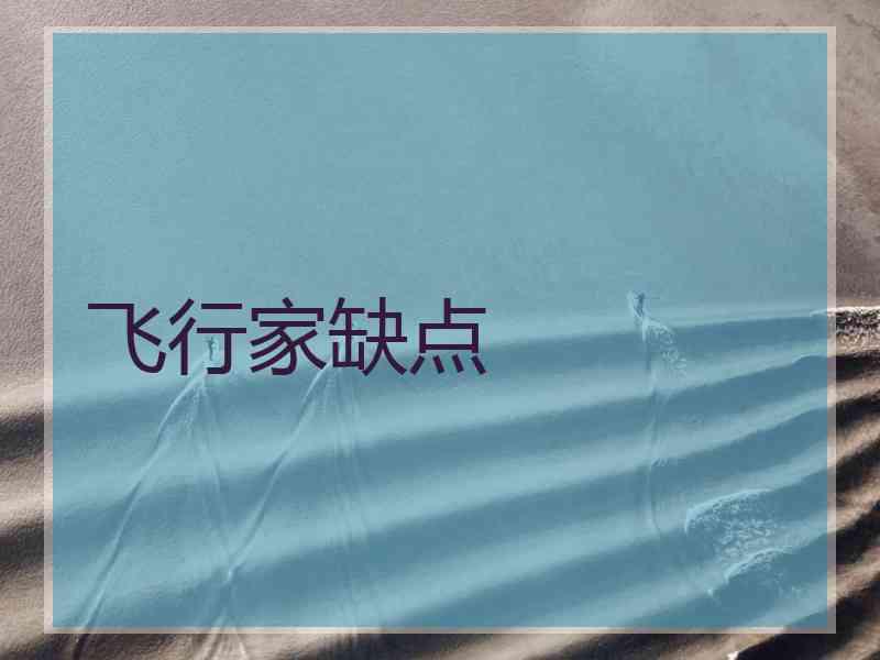 飞行家缺点