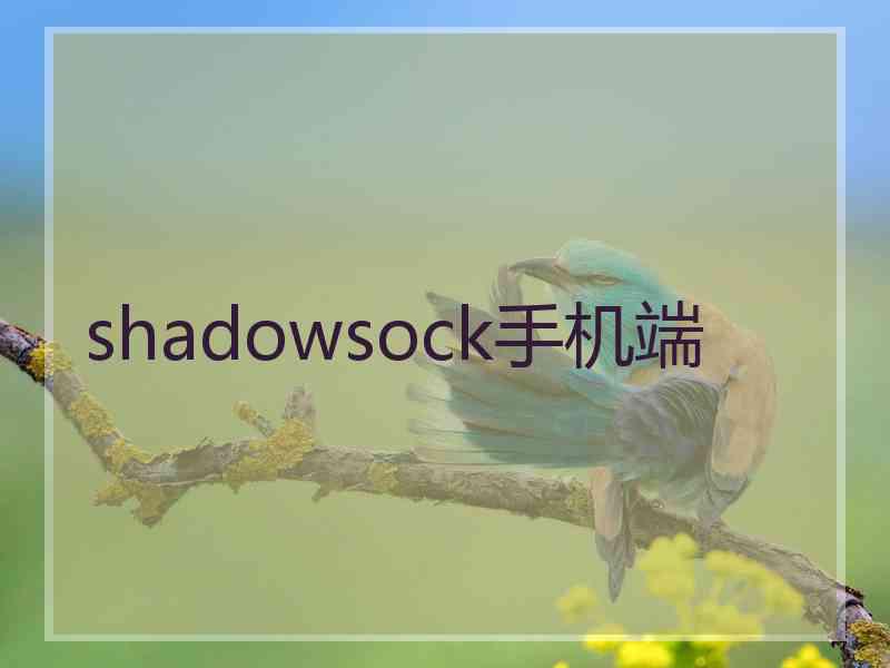 shadowsock手机端