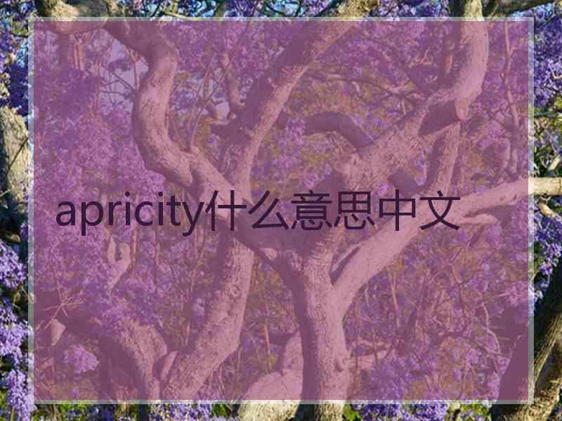 apricity什么意思中文