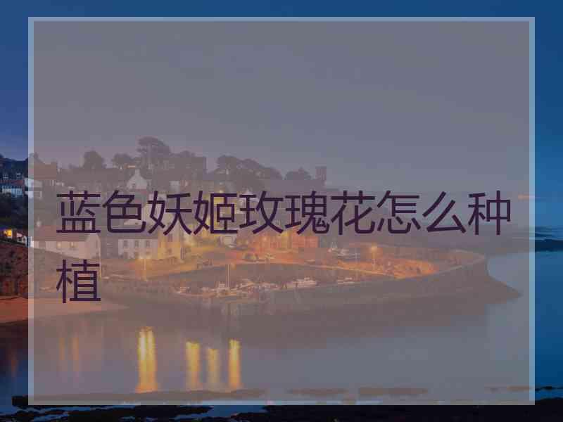 蓝色妖姬玫瑰花怎么种植