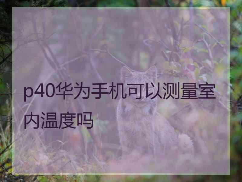 p40华为手机可以测量室内温度吗