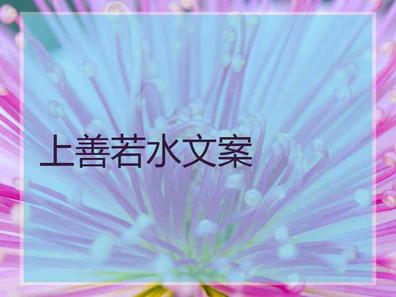 上善若水文案