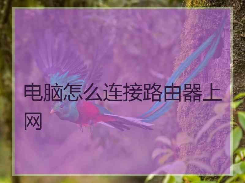 电脑怎么连接路由器上网