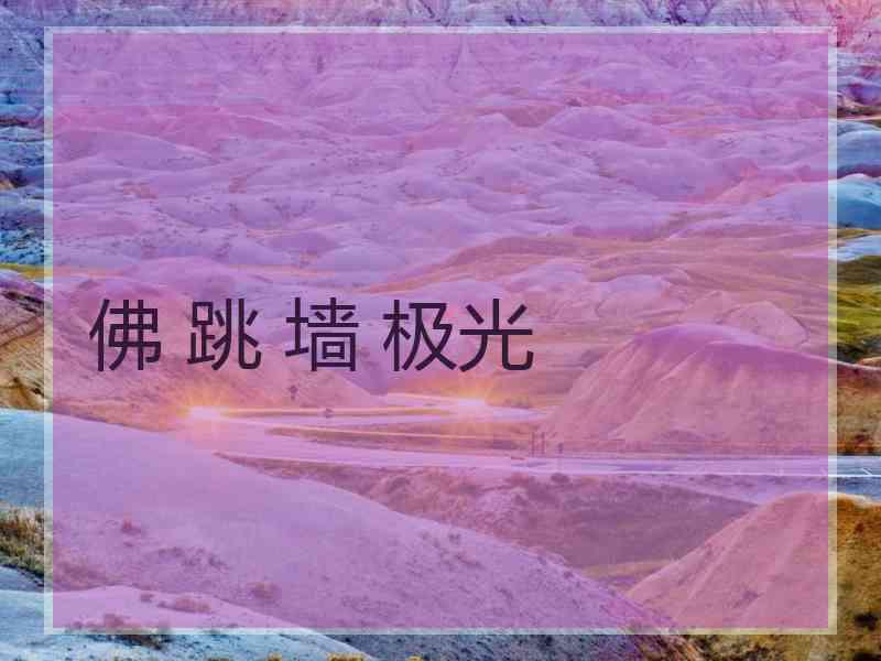 佛 跳 墙 极光