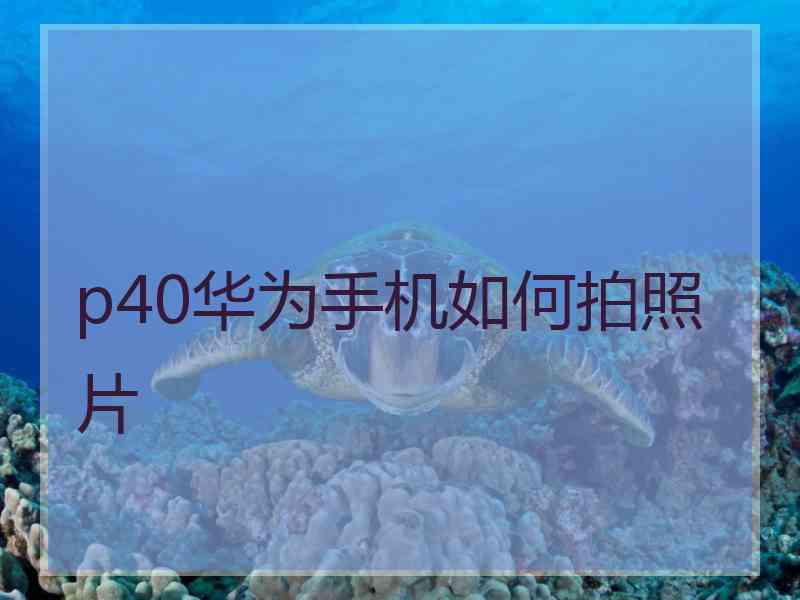 p40华为手机如何拍照片