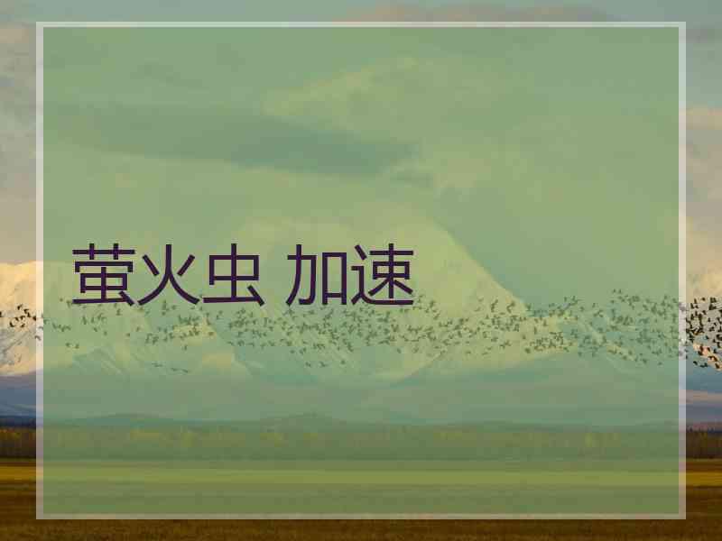 萤火虫 加速