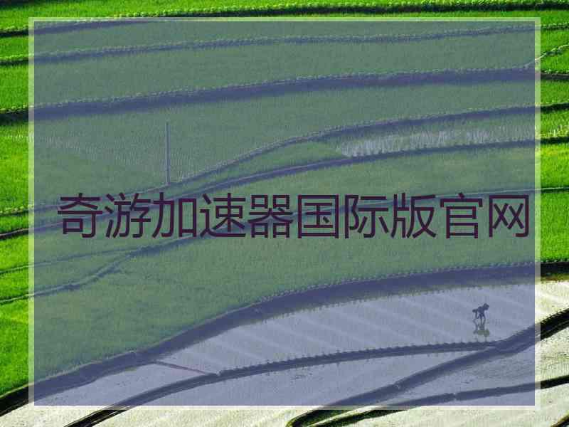 奇游加速器国际版官网