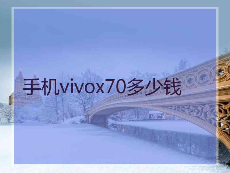 手机vivox70多少钱