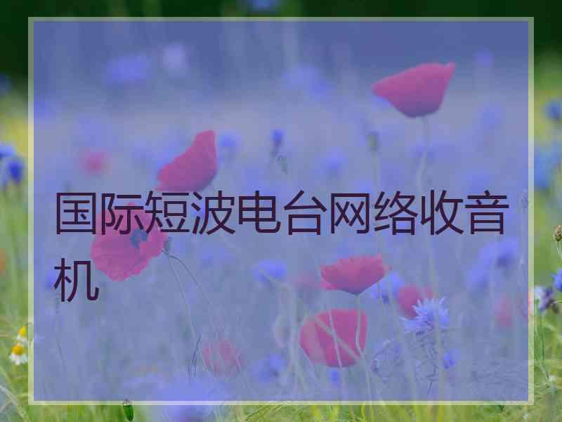 国际短波电台网络收音机