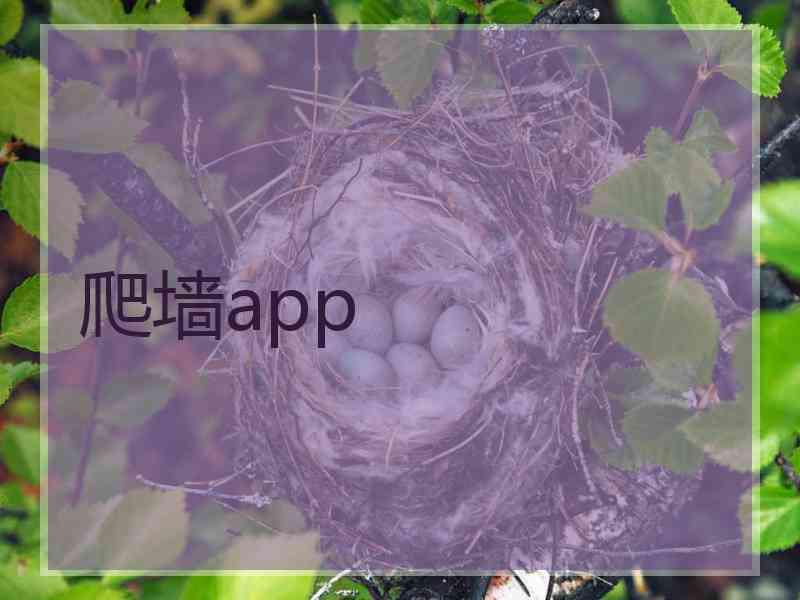 爬墙app