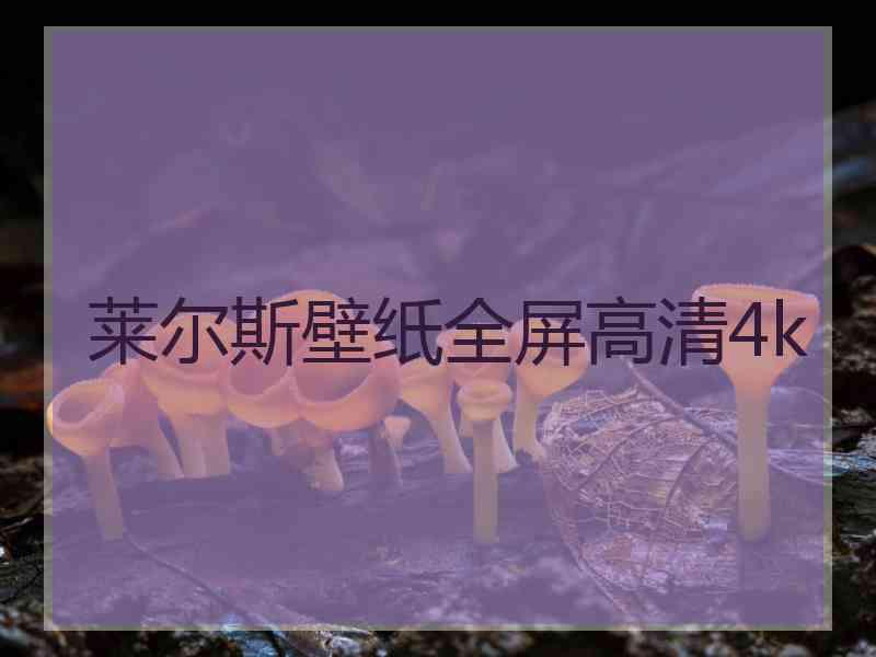 莱尔斯壁纸全屏高清4k
