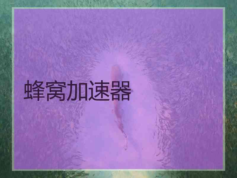 蜂窝加速器