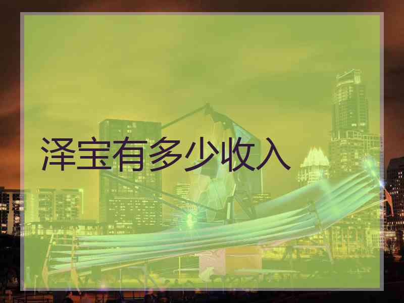 泽宝有多少收入