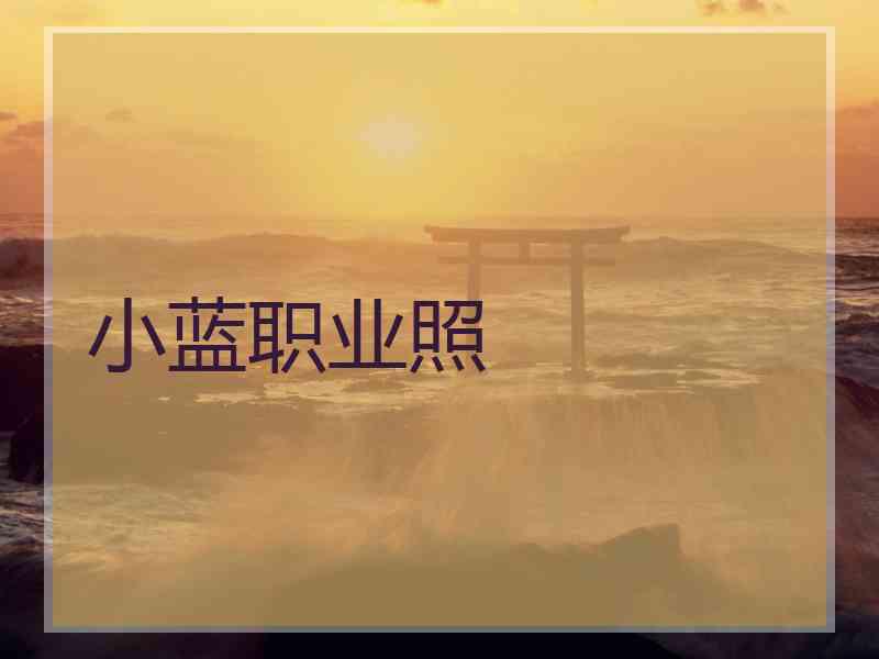 小蓝职业照