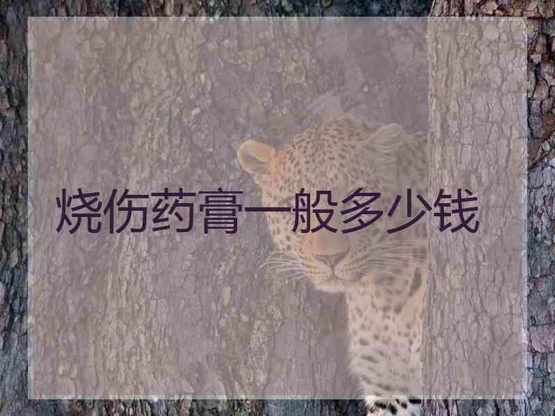 烧伤药膏一般多少钱