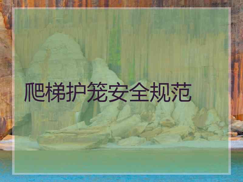 爬梯护笼安全规范