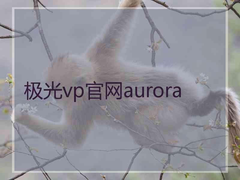极光vp官网aurora