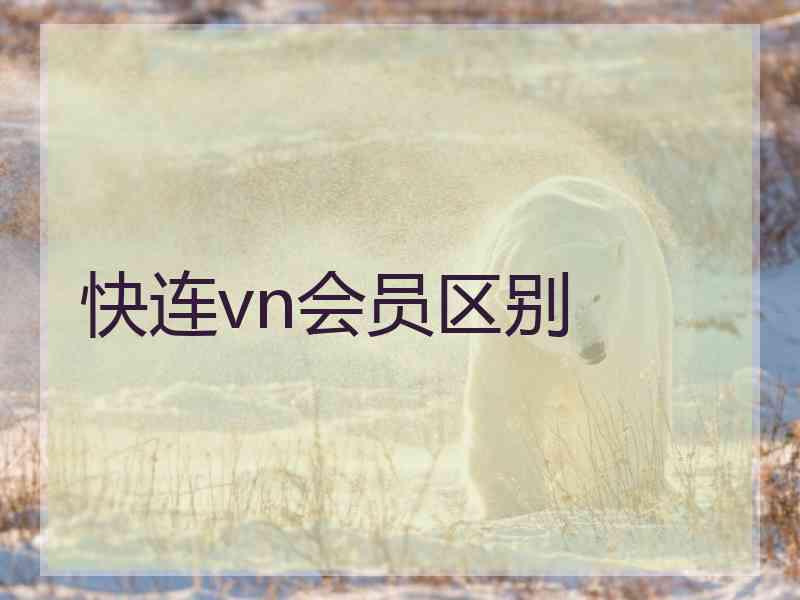 快连vn会员区别