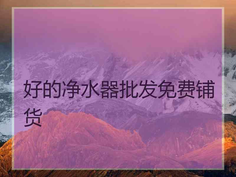 好的净水器批发免费铺货