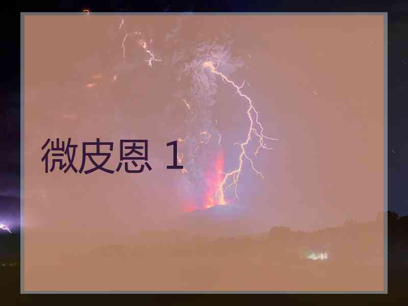 微皮恩 1