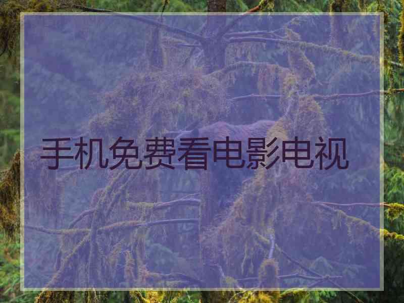手机免费看电影电视
