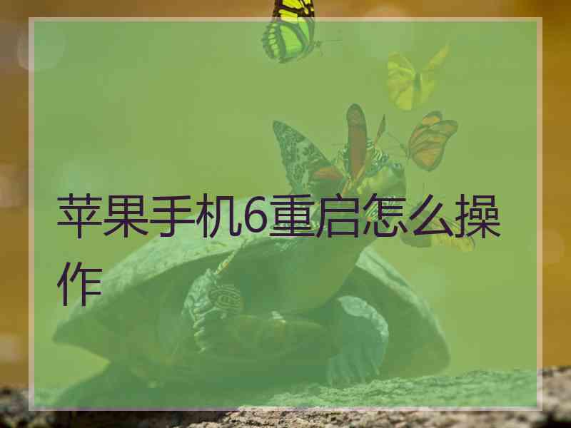 苹果手机6重启怎么操作