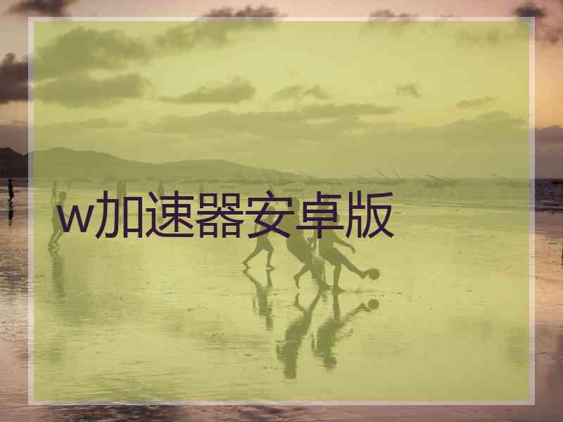 w加速器安卓版