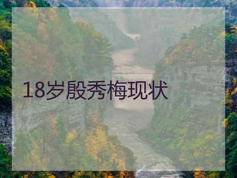 18岁殷秀梅现状