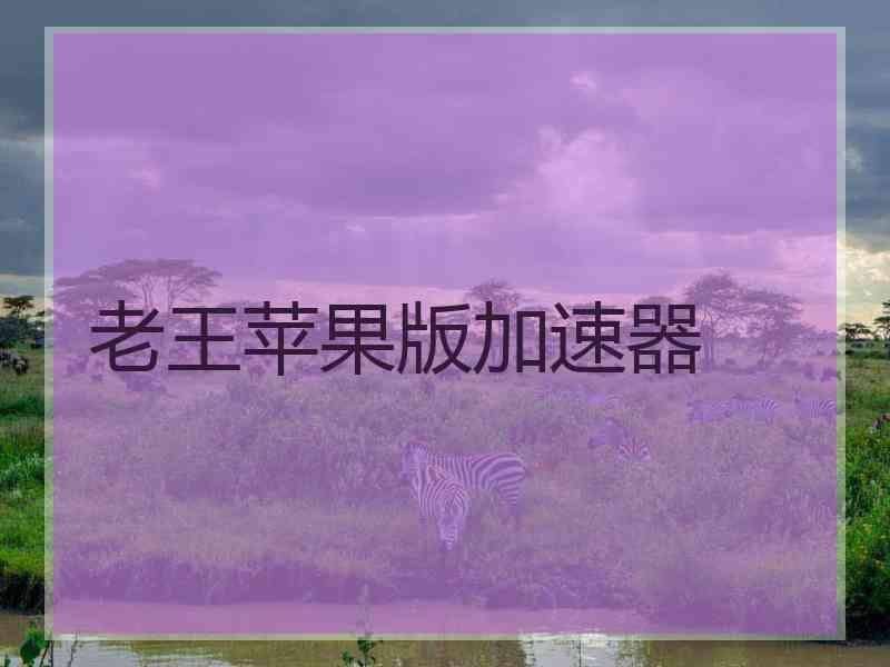 老王苹果版加速器