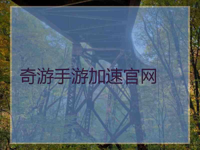 奇游手游加速官网