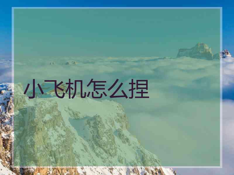 小飞机怎么捏