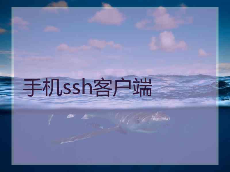 手机ssh客户端