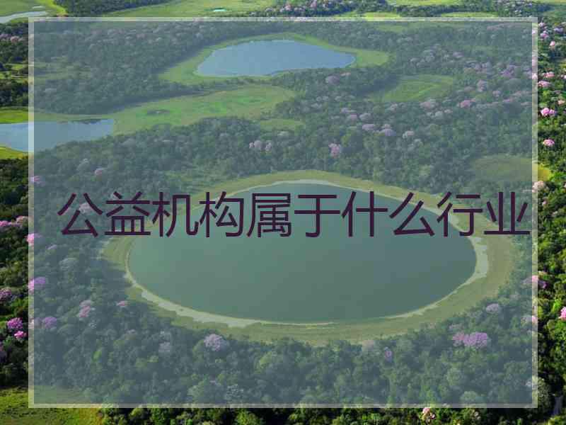 公益机构属于什么行业