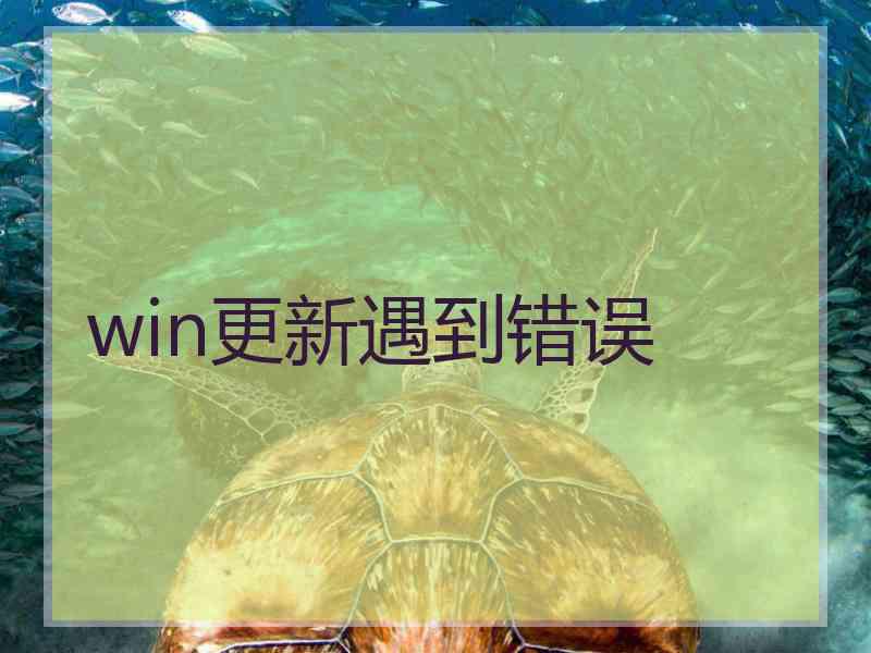 win更新遇到错误