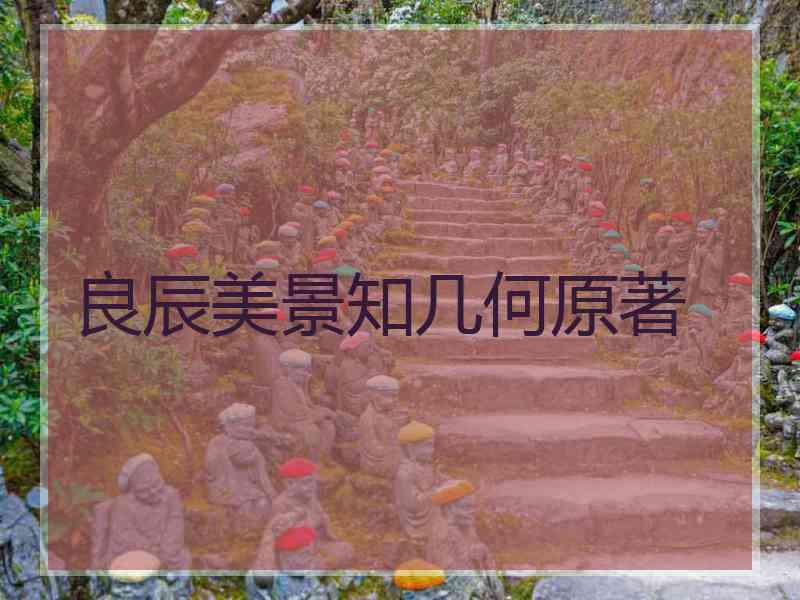 良辰美景知几何原著