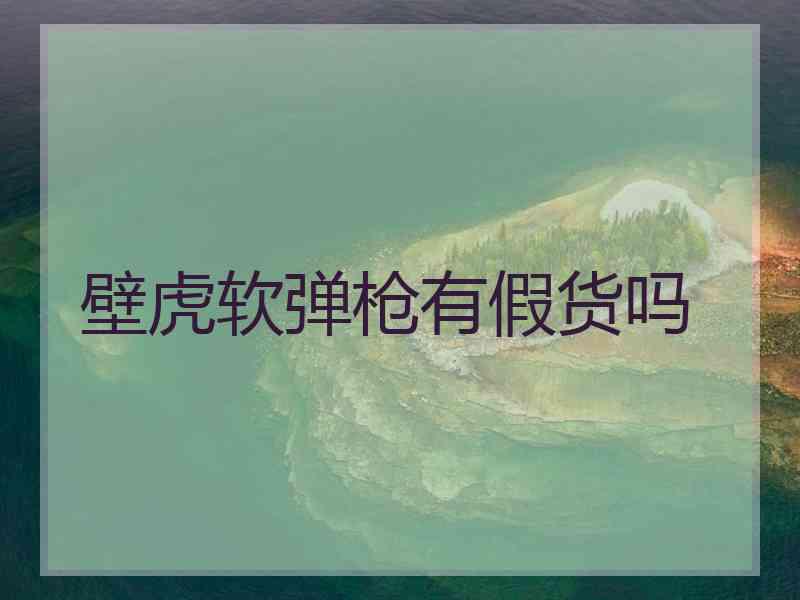 壁虎软弹枪有假货吗