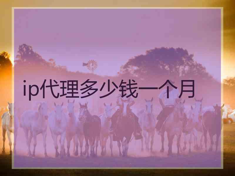 ip代理多少钱一个月