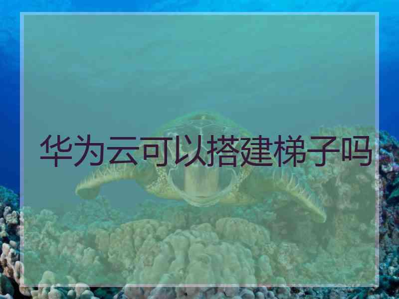 华为云可以搭建梯子吗