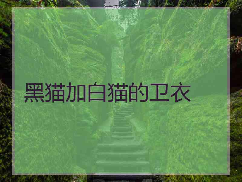 黑猫加白猫的卫衣