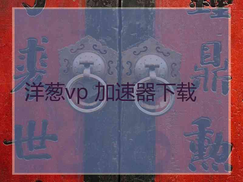洋葱vp 加速器下载
