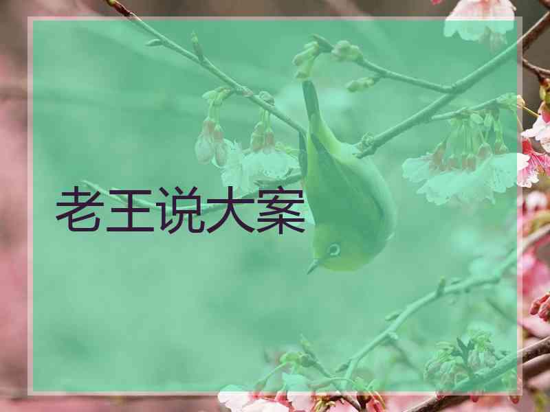 老王说大案